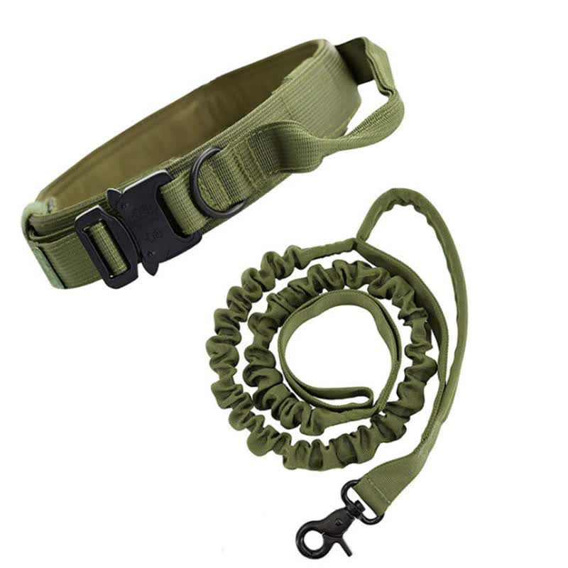 L Green Hands-Free Dog Leash with Adjustable Waist Belt - Shock Absorbing Bungee Lead - Image 1