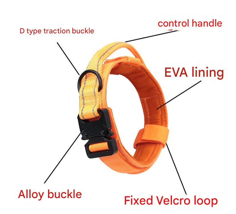 XL Black Hands-Free Dog Leash with Adjustable Waist Belt - Shock Absorbing Bungee Lead - Image 3