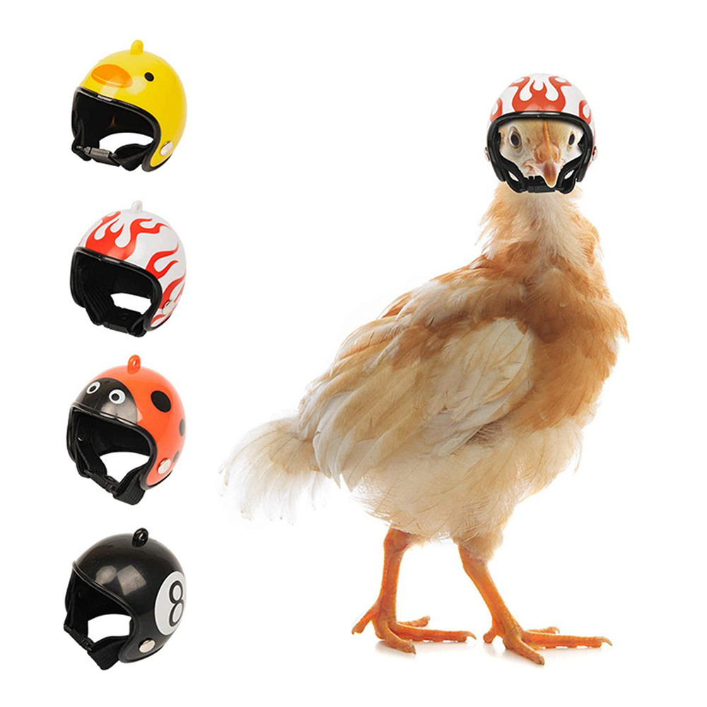 White Pet Chicken Helmet Set of 3 – Protective Headgear for Chicks, Hens, and Birds - Image 3