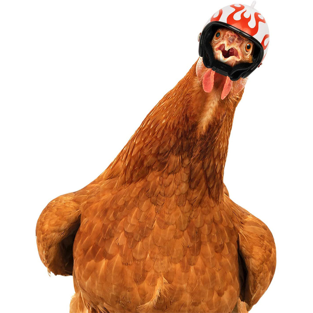 Pink Pet Chicken Helmet Set of 3 – Protective Headgear for Chicks, Hens, and Birds - Image 2