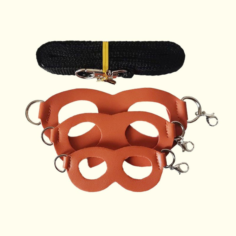 2-Pack Orange Small Mammal Harness Set – 6 Pcs (S/M/L ×2) + 2×1.5m Leashes for Secure Outdoor Handling - Image 1