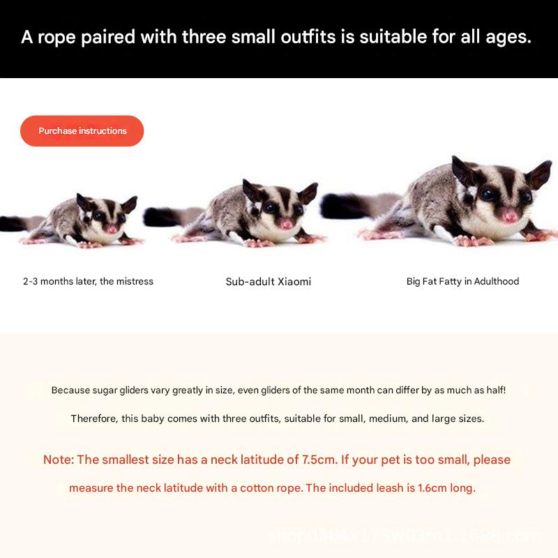 2-Pack Blue Small Mammal Harness Set – 6 Pcs (S/M/L ×2) + 2×1.5m Leashes for Secure Outdoor Handling - Image 3