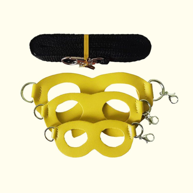 2-Pack yellow Small Mammal Harness Set – 6 Pcs (S/M/L ×2) + 2×1.5m Leashes for Secure Outdoor Handling - Image 1