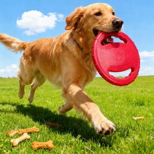 3-Pack Dog Flying Discs – Durable EVA Frisbee Toys in Yellow, Blue & Red for Training and Outdoor Play - Image 3