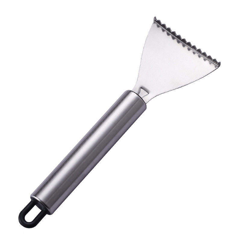 Set of 5 Stainless Steel Fish Scale Removers – Food-Grade Heavy-Duty Fish Scaler Tools with Comfort Grip & Hanging Loop, for Fine & Coarse Scales, Kitchen Essential - Image 1