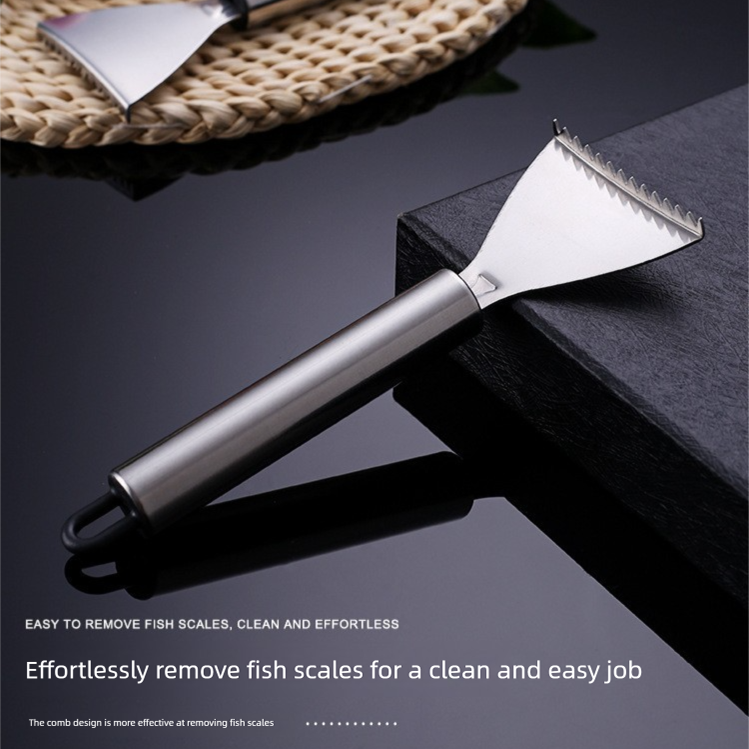 Set of 5 Stainless Steel Fish Scale Removers – Food-Grade Heavy-Duty Fish Scaler Tools with Comfort Grip & Hanging Loop, for Fine & Coarse Scales, Kitchen Essential - Image 3