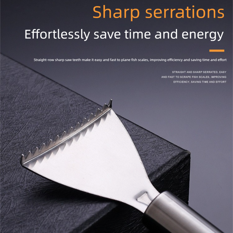 Set of 5 Stainless Steel Fish Scale Removers – Food-Grade Heavy-Duty Fish Scaler Tools with Comfort Grip & Hanging Loop, for Fine & Coarse Scales, Kitchen Essential - Image 5