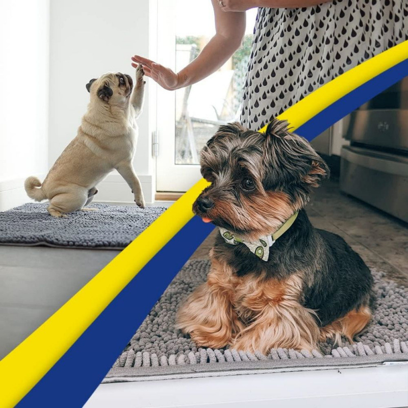 Bleached white 50×80 cm Extra-Thick Chenille Floor Mat for Bathrooms and Pet Use – High-Density Absorbent, Non-Slip, Machine-Washable Rug for Dogs and Humans - Image 4