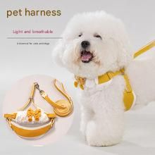 Sky blue Lace Y-Shaped Pet Harness and Leash Set - Breathable Mesh Vest for Small to Medium Dogs and Cats - Comfortable Walking Gear with 150cm Leash(Size:S) - Image 3