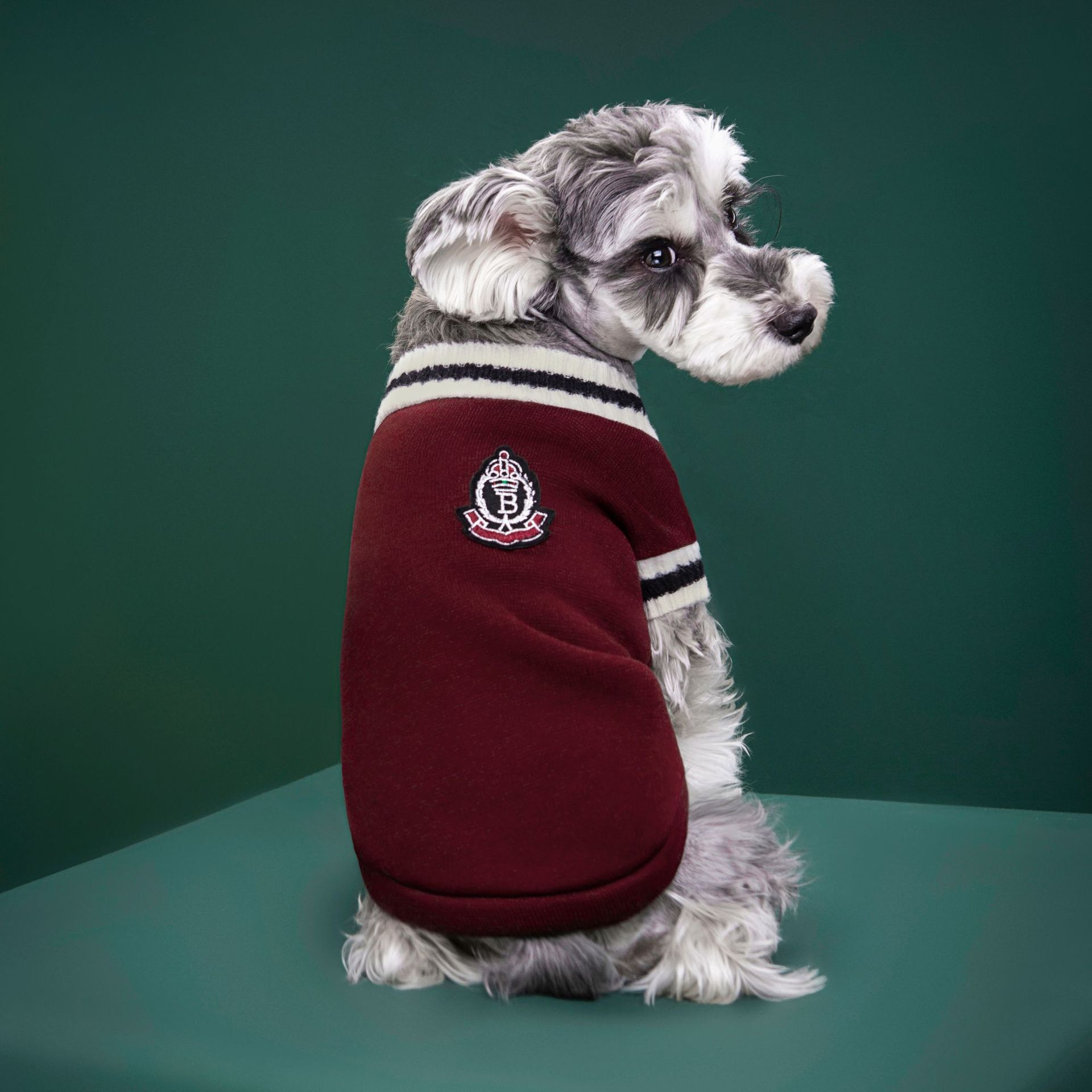 4-Pack M Size Preppy Style V-Neck Knitted Cotton Pet Sweater - Hair-Resistant & Breathable, Classic Fleece-Lined Pullover for Cats and Dogs(Green + Red + Khaki + Grey) - Image 5