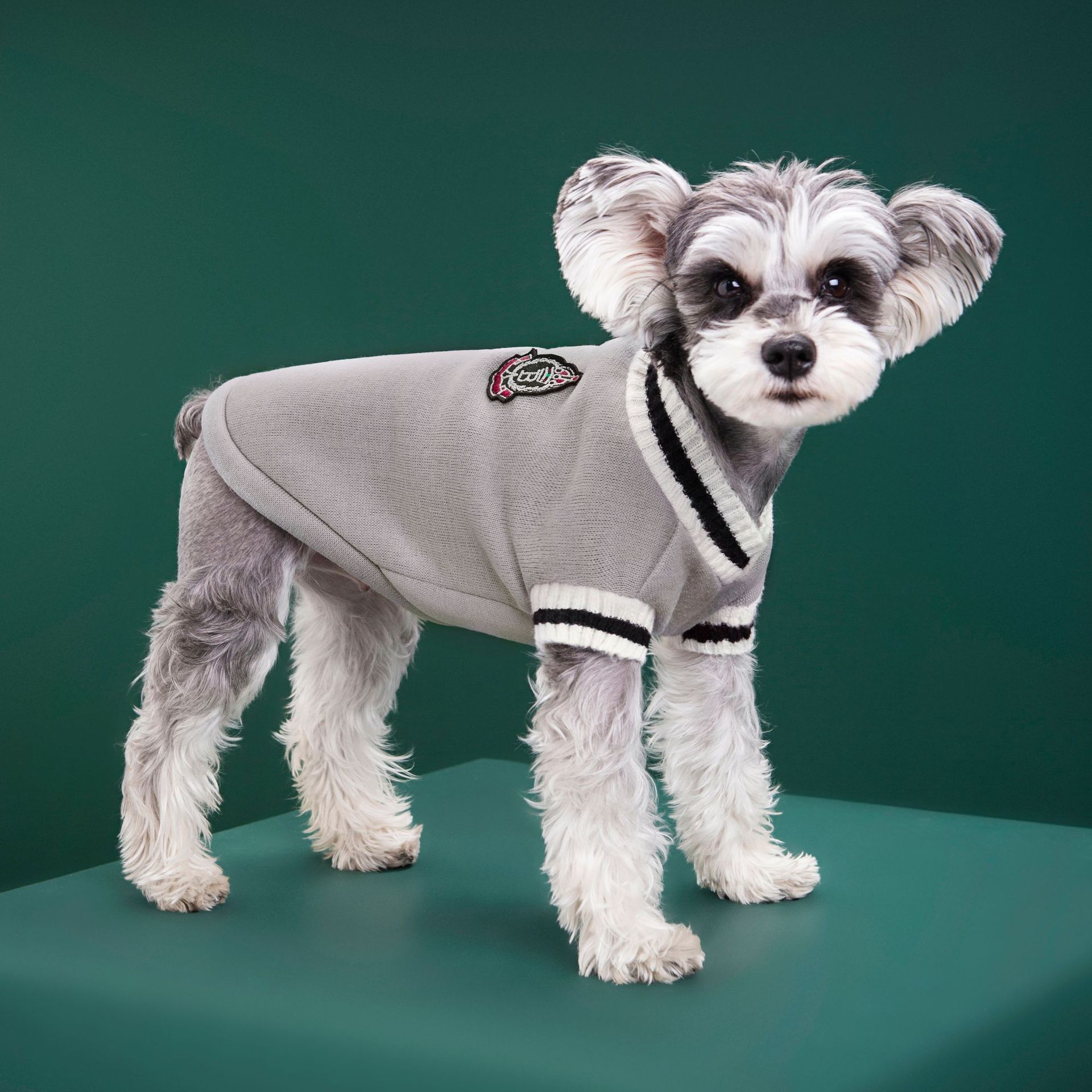 4-Pack L Size Preppy Style V-Neck Knitted Cotton Pet Sweater - Hair-Resistant & Breathable, Classic Fleece-Lined Pullover for Cats and Dogs(Green + Red + Khaki + Grey) - Image 6