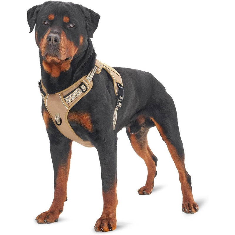 Black Professional Adjustable Tactical Dog Mesh Harness - Reflective No-Pull Pet Vest with Control Handle (S Size for Weight 18-35 lbs) - Image 2
