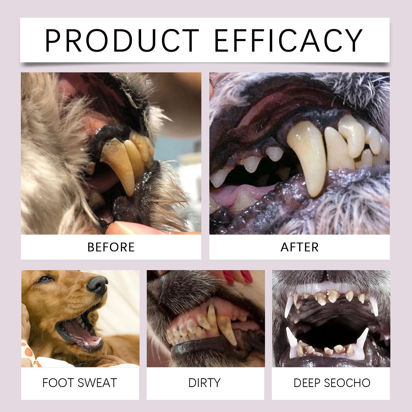 2-Pack Professional Pet Dental Cleaning Pens - Gentle Plaque & Tartar Remover and Breath Freshener for Dogs and Cats - Image 3