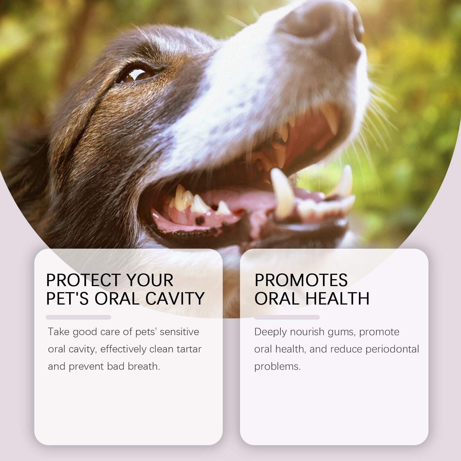2-Pack Professional Pet Dental Cleaning Pens - Gentle Plaque & Tartar Remover and Breath Freshener for Dogs and Cats - Image 7