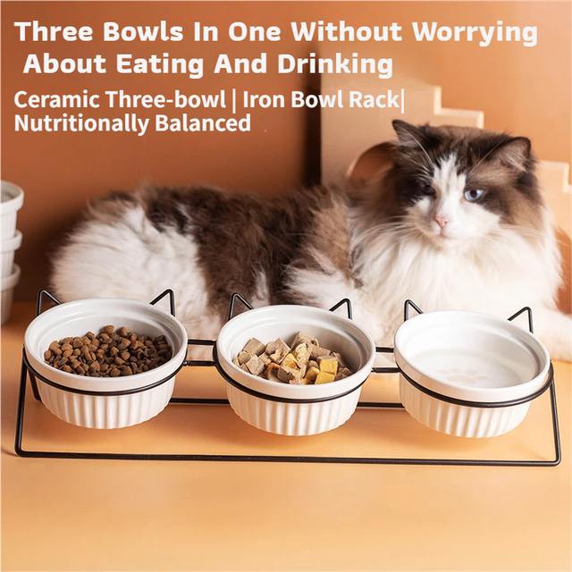 Triple Slanted Ceramic Pet Bowl Set with Elevated Iron Stand and Non Slip Base - 3 x 300ML Versatile Blue Cat Paw Print Pattern Dishes for Water & Food - Image 2