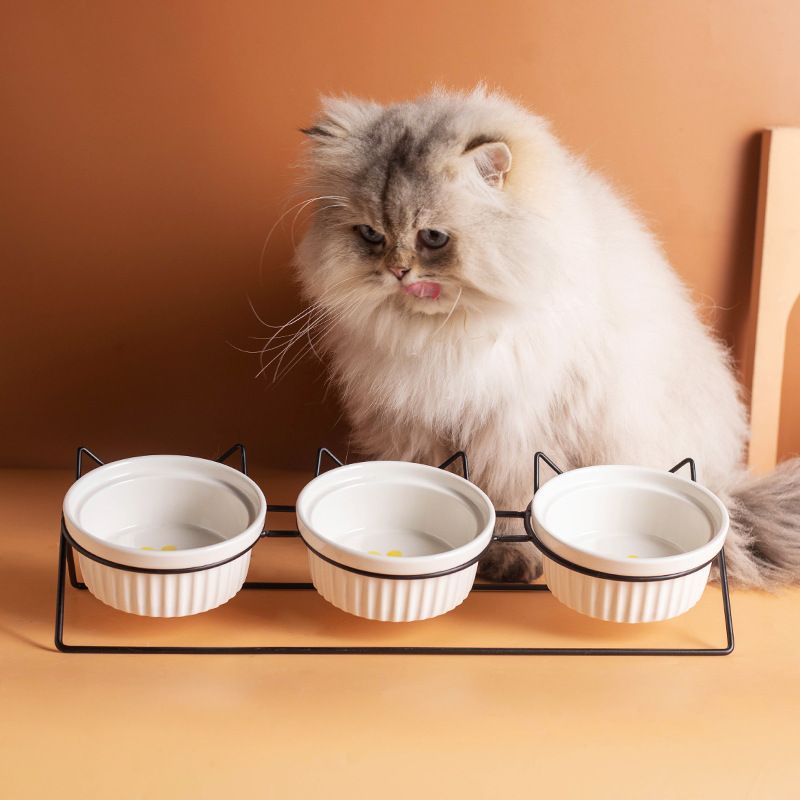 Triple Slanted Ceramic Pet Bowl Set with Elevated Iron Stand and Non Slip Base - 3 x 300ML Versatile Black Cat Paw Print Pattern Dishes for Water & Food - Image 6