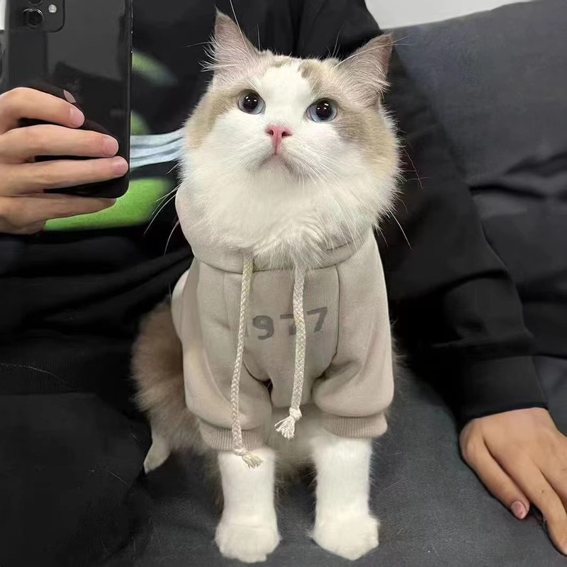 2-Pack S sizeTrendy Pet Hoodie with 