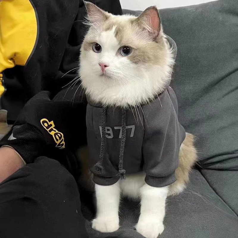 2-Pack S sizeTrendy Pet Hoodie with 