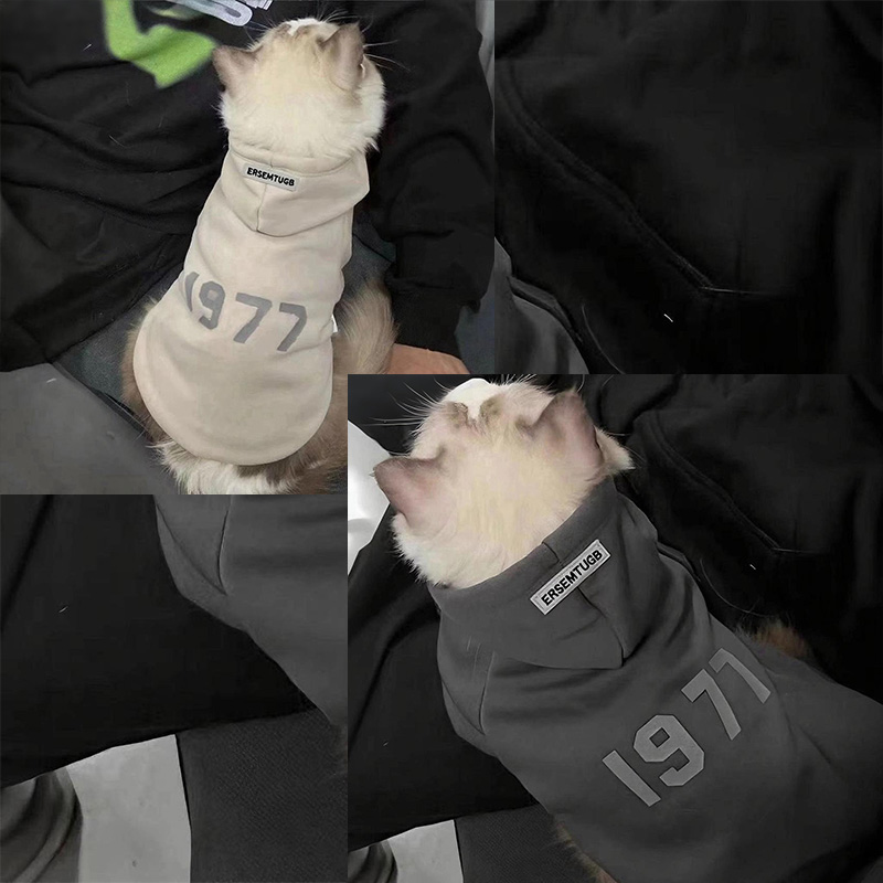 2-Pack L sizeTrendy Pet Hoodie with 