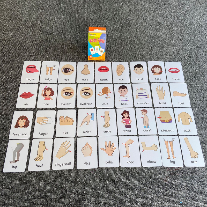 4-Set Kids Flash Cards: Vegetables, Fruits, Colors, Body Parts - Image 3