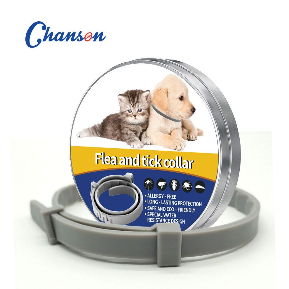 Grey 62cm Adjustable Flea and Tick Collar for Dogs and Cats - 8 Month Protection, Waterproof TPR Design with Safety Release - Repels Fleas, Ticks, and Mosquitoes for Small to Large Pets - Image 1