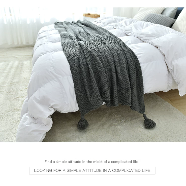 Beige 110*150cm Nordic Style Tassel Knit Throw Blanket - Soft Polyester Sofa Blanket with Pineapple Texture - Breathable & Lightweight for Office, Couch, Travel - Boho Chic Home Decor - Image 4