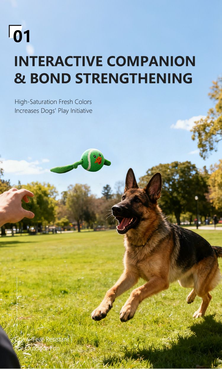 3-Piece Set High Elastic Pet Tennis Toy - Chew-Resistant Dog Ball with Plush Animal Designs for Interactive Play, Teeth Grinding & Dental Cleaning, Synthetic Fiber & Rubber, 80g Lightweight, Ideal for Small to Large Dogs-Designs: Duck and  Owl and  Pengui - Image 4