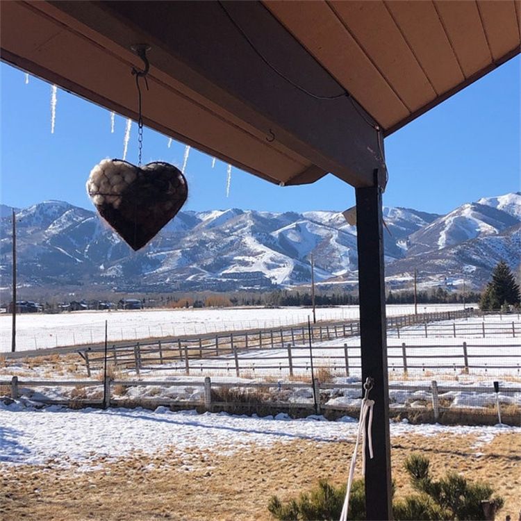 Bird Heart-Shaped Nest with Hanging Metal Frame - Outdoor Garden Decor & Wild Bird Support -  Unique Yard Art for Backyard Sanctuaries and Nature Lover Gifts - Image 2