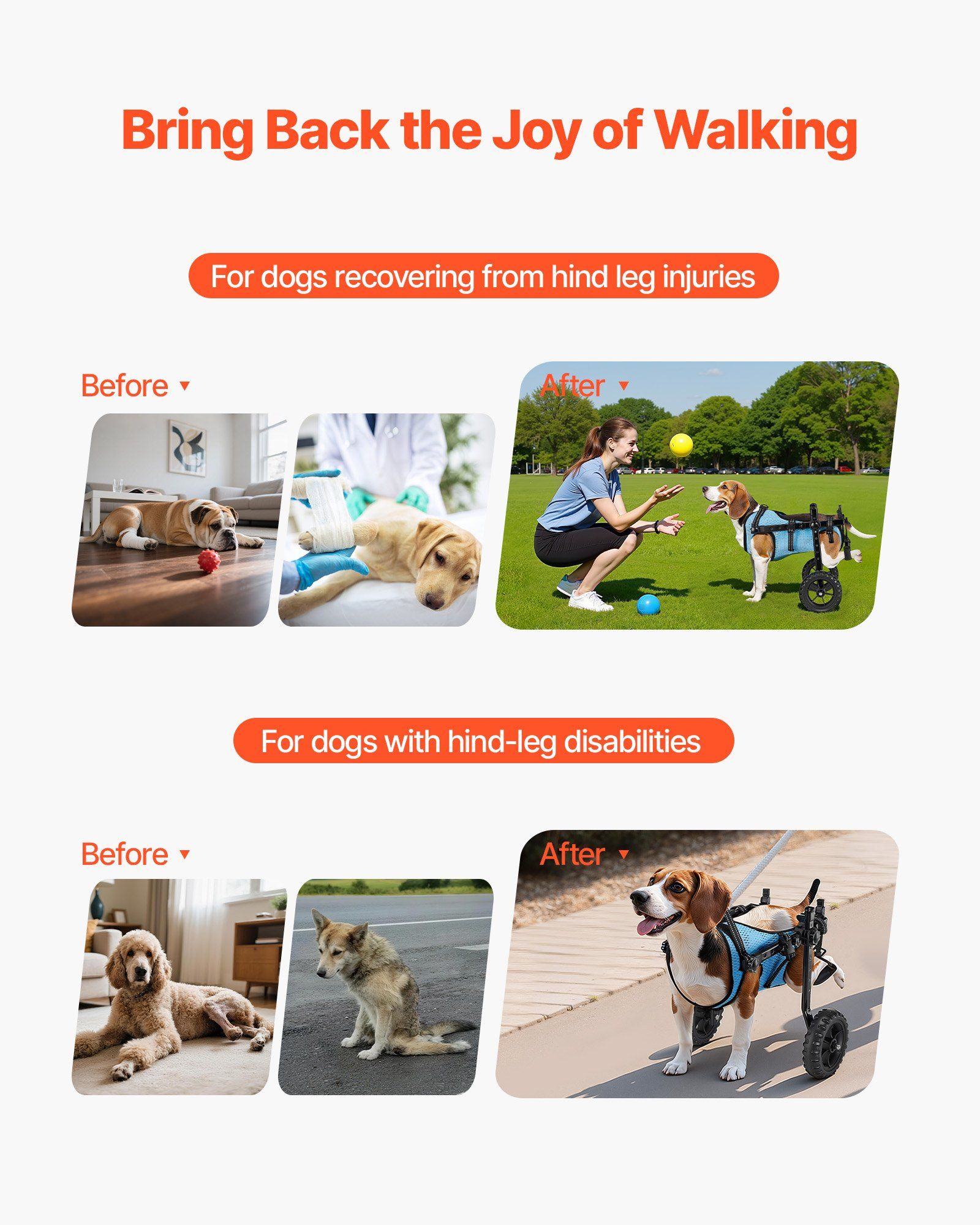 Dog Wheelchair for Back Legs, Adjustable 2 Wheels Pet Wheelchair, Lightweight  Dog Cart with Shock-Absorbing Wheels, Mobility Support Wheel Chair for Disabled Injured Dogs up to 10kg, Small - Image 2