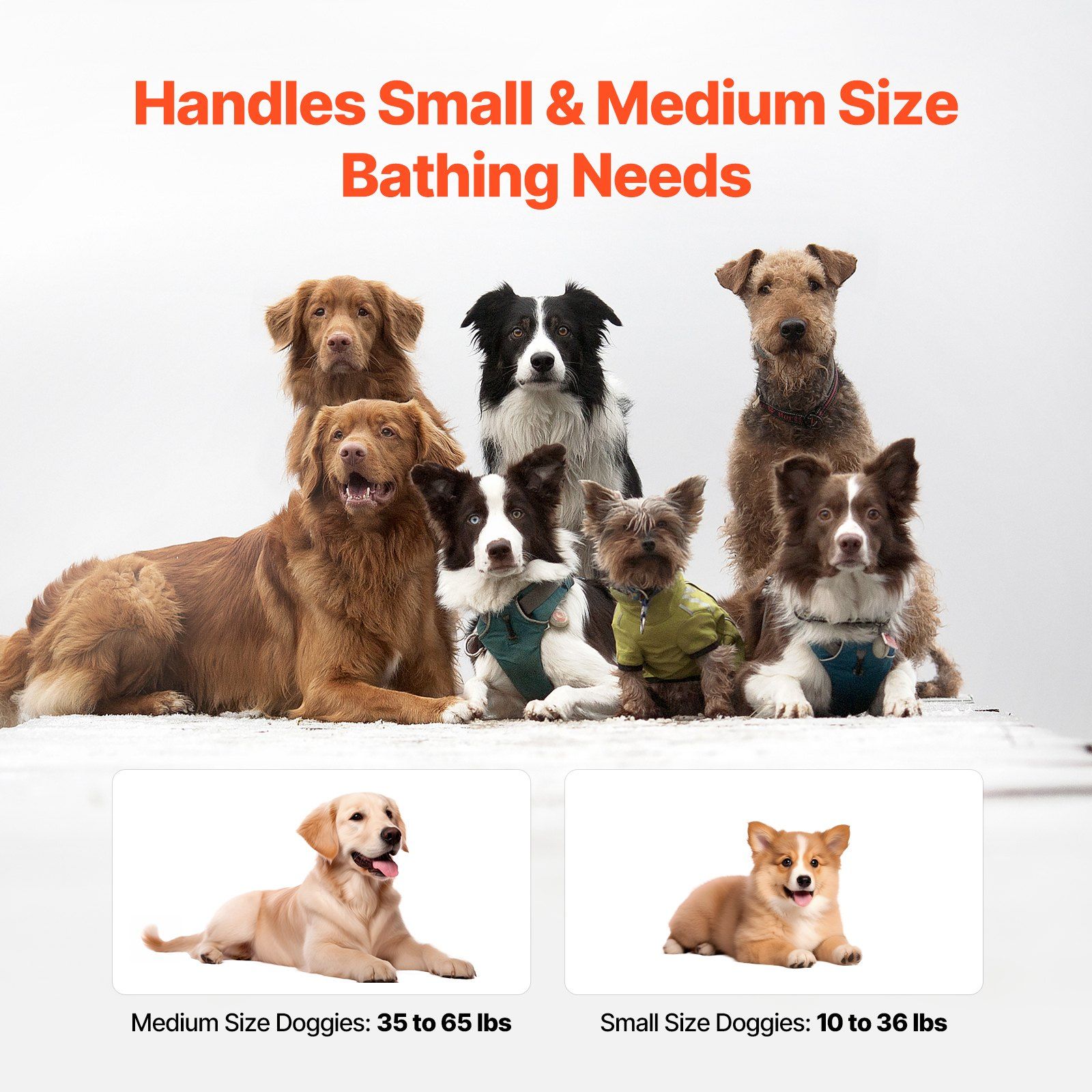 Portable Dog Bathtub, Elevated & Foldable Space-saving Pet Shower Station with Efficient Drainage, Bathing Tub for Washing & Grooming Small and Medium Size Dogs and Cats Indoor & Outdoor, Grey - Image 6