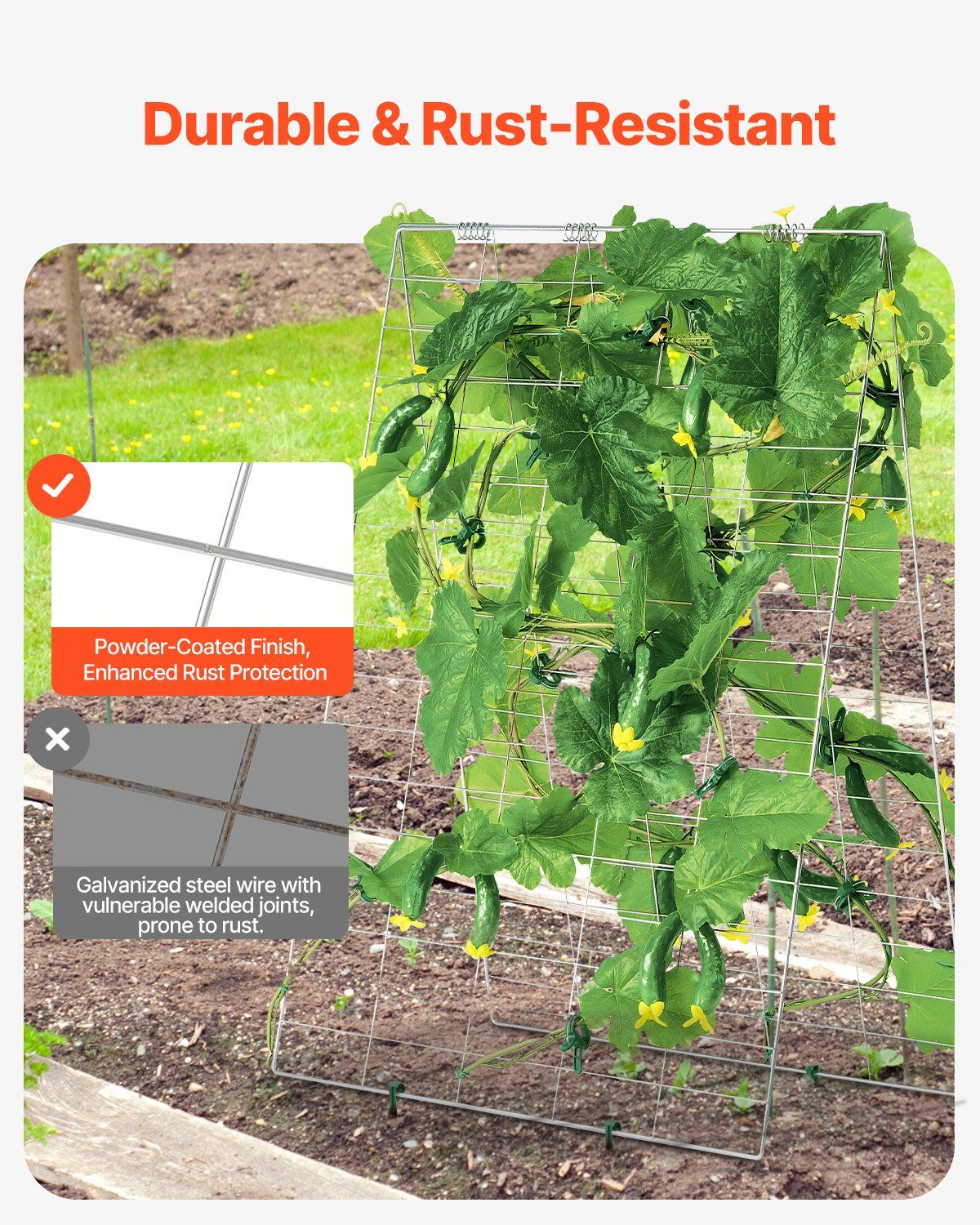 Cucumber Trellis for Climbing Plants, 35