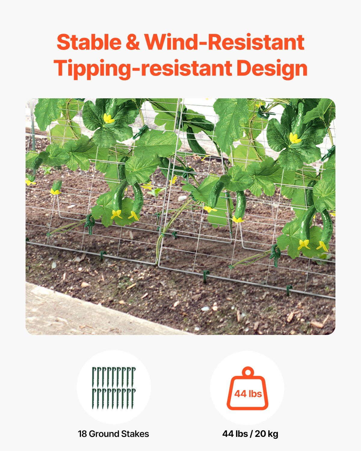 Cucumber Trellis for Climbing Plants, 35