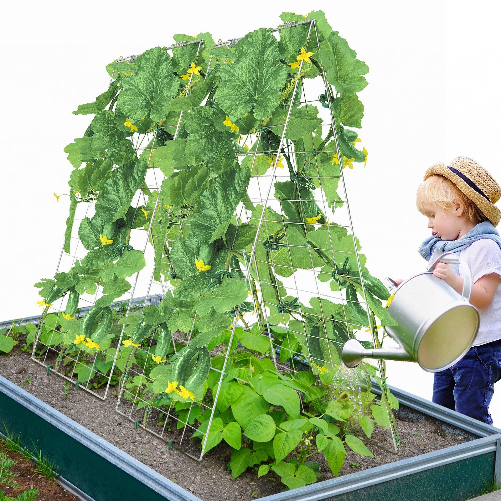 Cucumber Trellis for Climbing Plants, 35