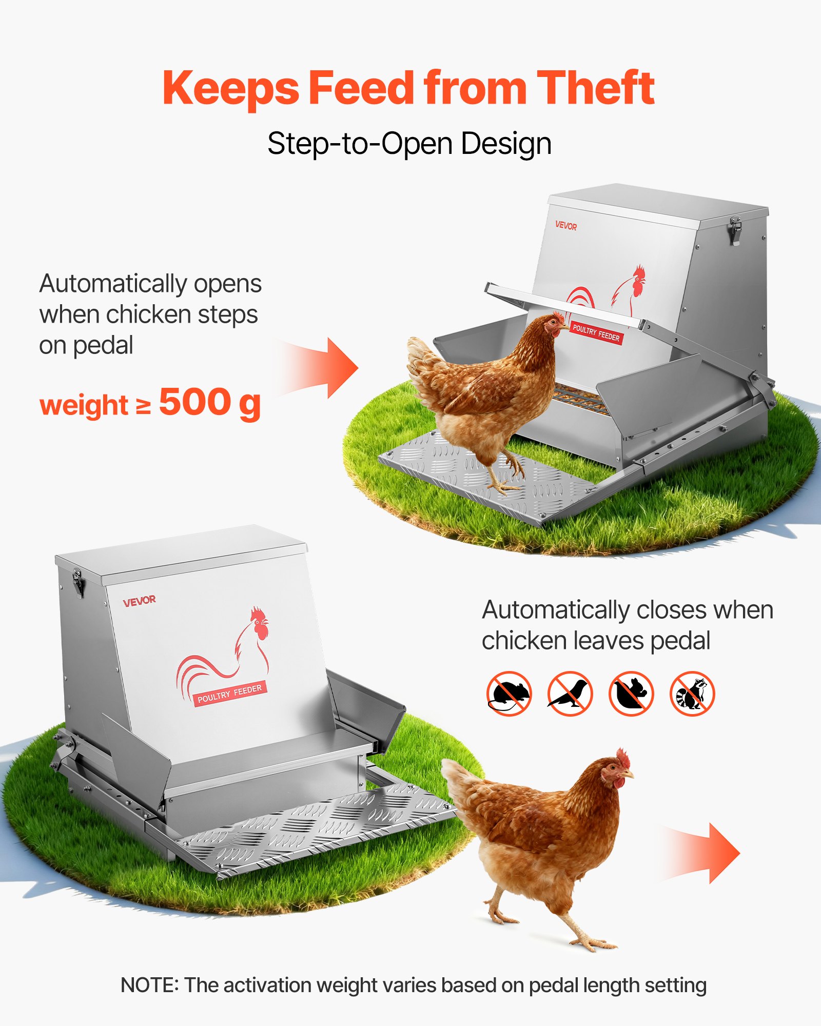 Automatic Chicken Feeder, 18.14 kg Capacity, Rainproof Treadle Poultry Feeder with Lockable Lid, No Waste, Galvanized Steel Construction, Outdoor Use, for Chicken, Bantams, Poultry, Pheasants - Image 2