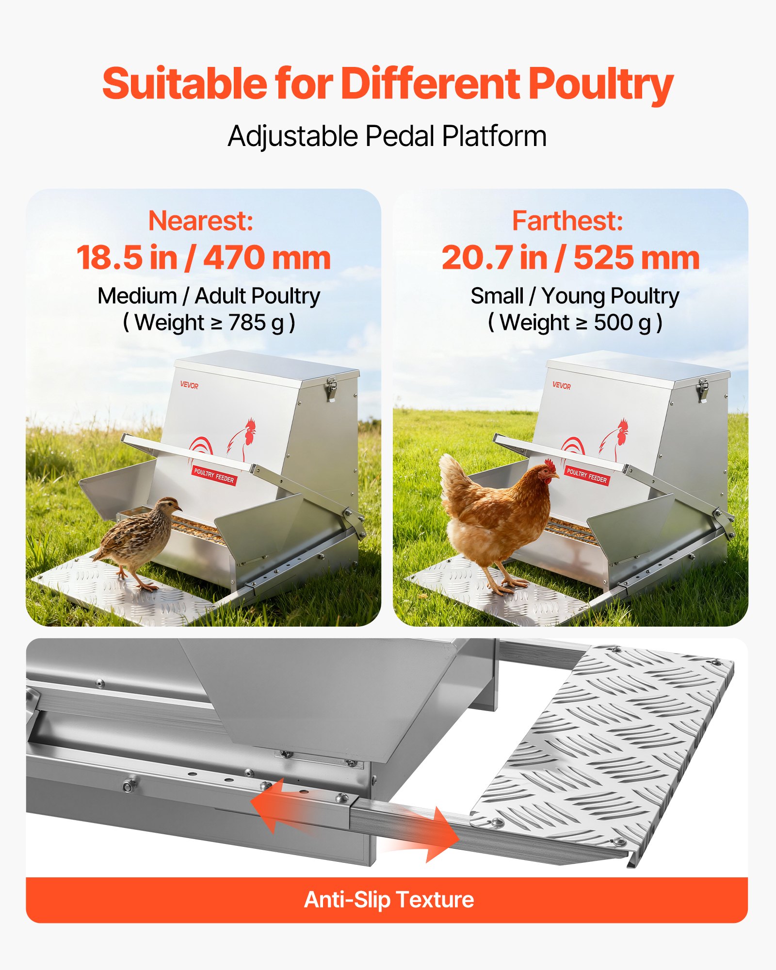 Automatic Chicken Feeder, 18.14 kg Capacity, Rainproof Treadle Poultry Feeder with Lockable Lid, No Waste, Galvanized Steel Construction, Outdoor Use, for Chicken, Bantams, Poultry, Pheasants - Image 4