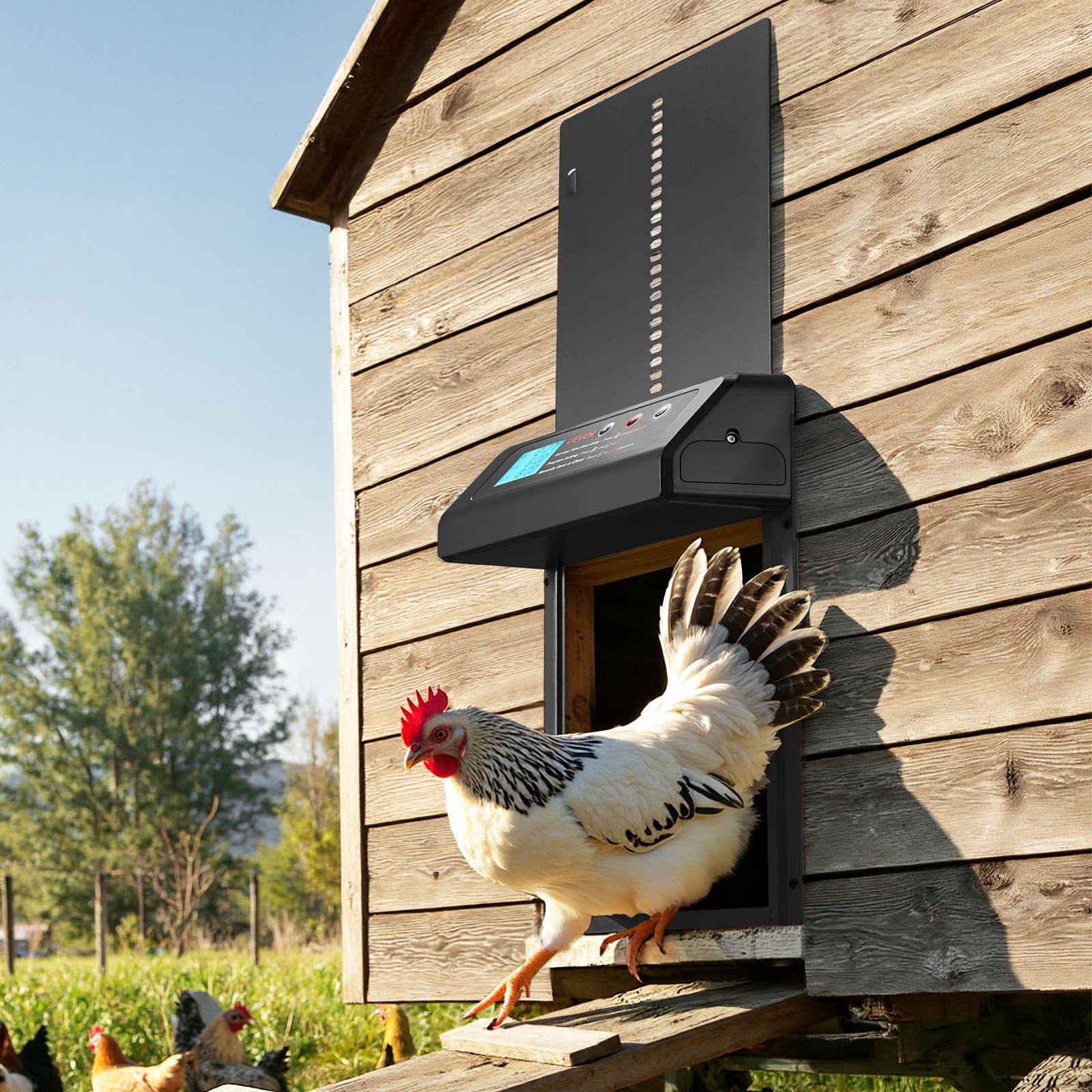 Automatic Chicken Coop Door, Battery Powered Chicken Coop Door with Timer & Manual Setting, Anti-Pinch Security, Durable Aluminum Alloy, Auto Chick Run Gate Opener with Waterproof Sealing, Black - Image 8