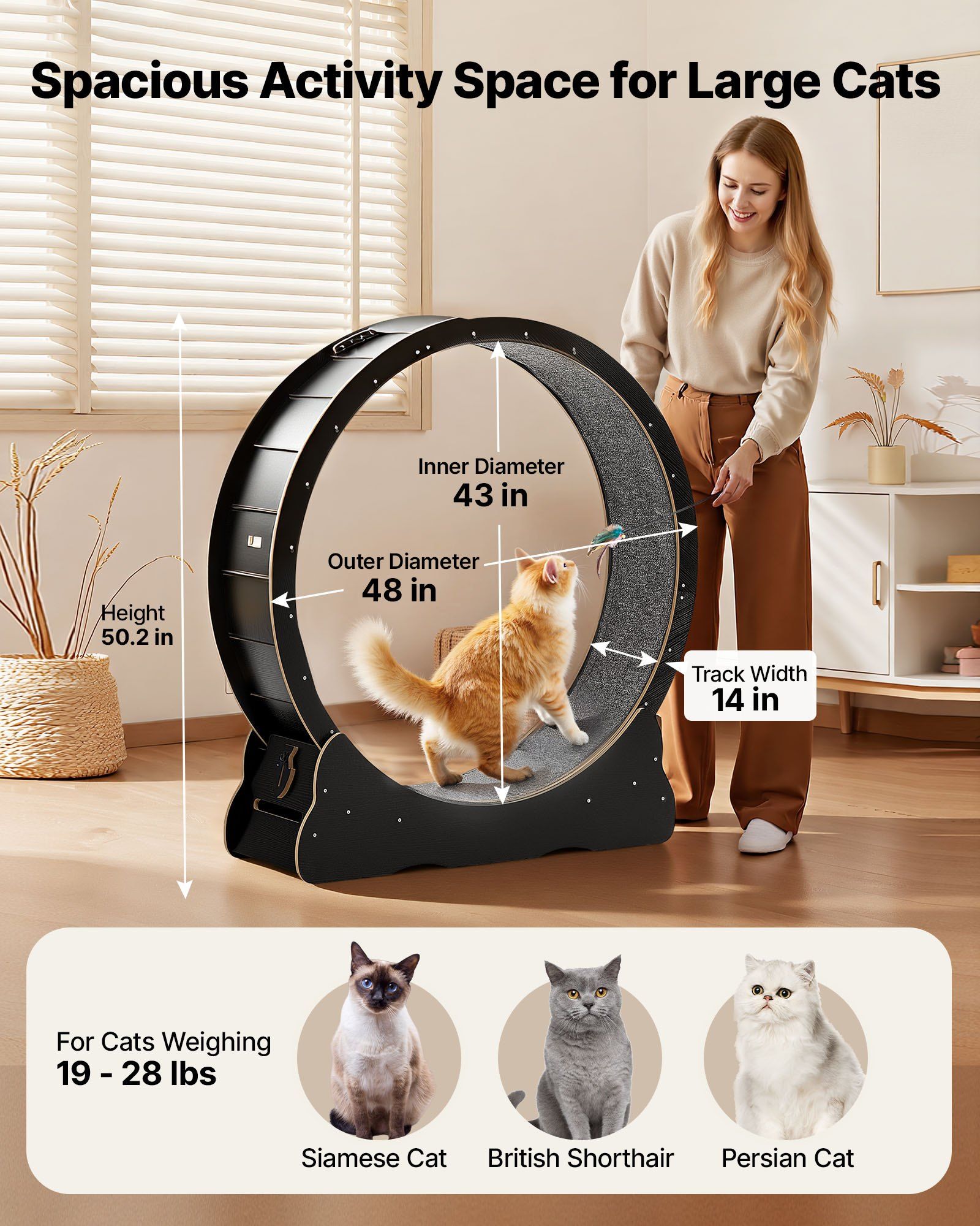 Cat Exercise Wheel, 120 cm Wooden Cat Running Wheel for Indoor Cats up to 12.7 kg, Cats Treadmill with Carpeted Runway & Locking Mechanism, Quiet Kitten Sport Toys for Pets Fitness, Black - Image 2