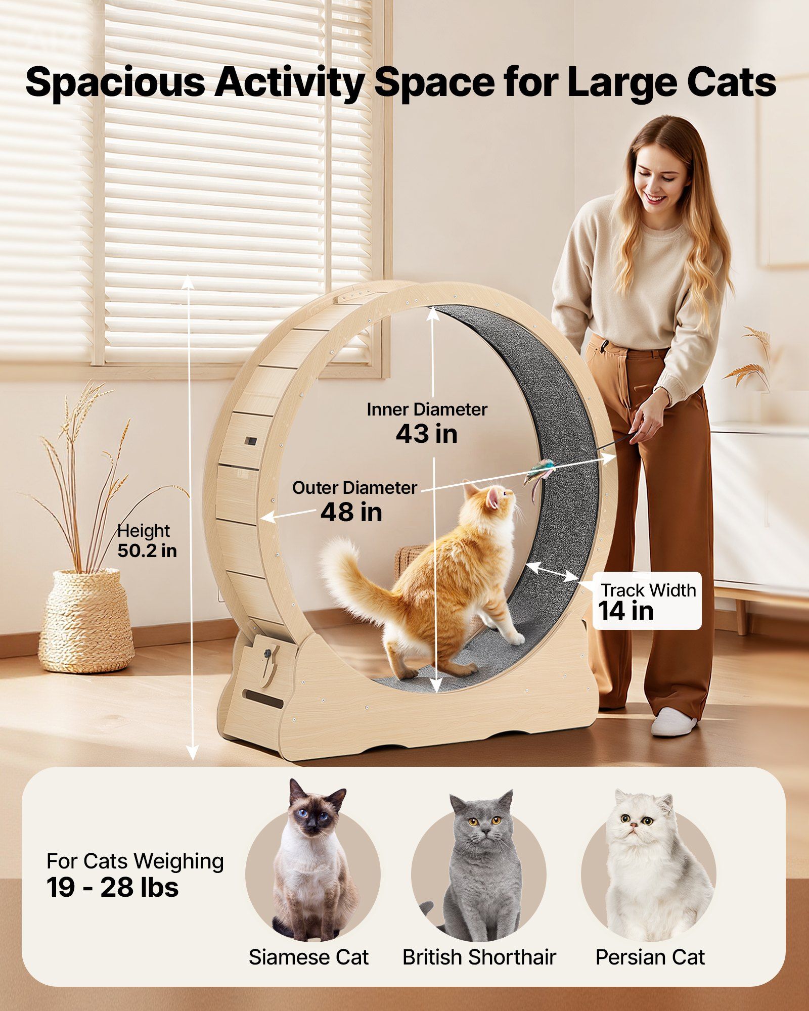 Cat Exercise Wheel, 120cm Wooden Cat Running Wheel for Indoor Cats up to 12.7kg Cats Treadmill with Carpeted Runway & Locking Mechanism, Quiet Roller Kitten Sport Toys for Pets Fitness & Health - Image 2