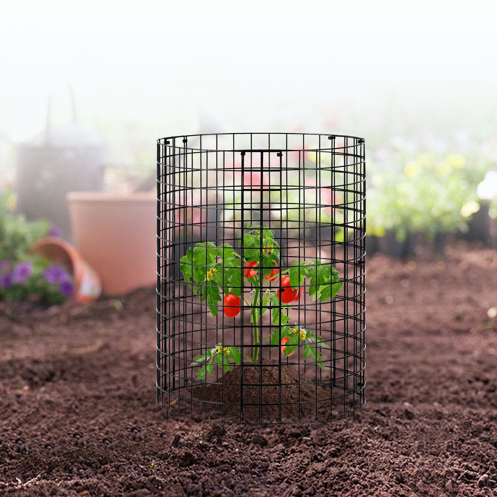 6 Pack Plant Protector from Animals, 320mm Dia. x 355mm H Chicken Wire Plant Protector, Plant Cages for Outdoor Plants, Flowers & Vegetables, Keeps Bunny Chicken Squirrels Out, 18pcs Metal Mesh - Image 8