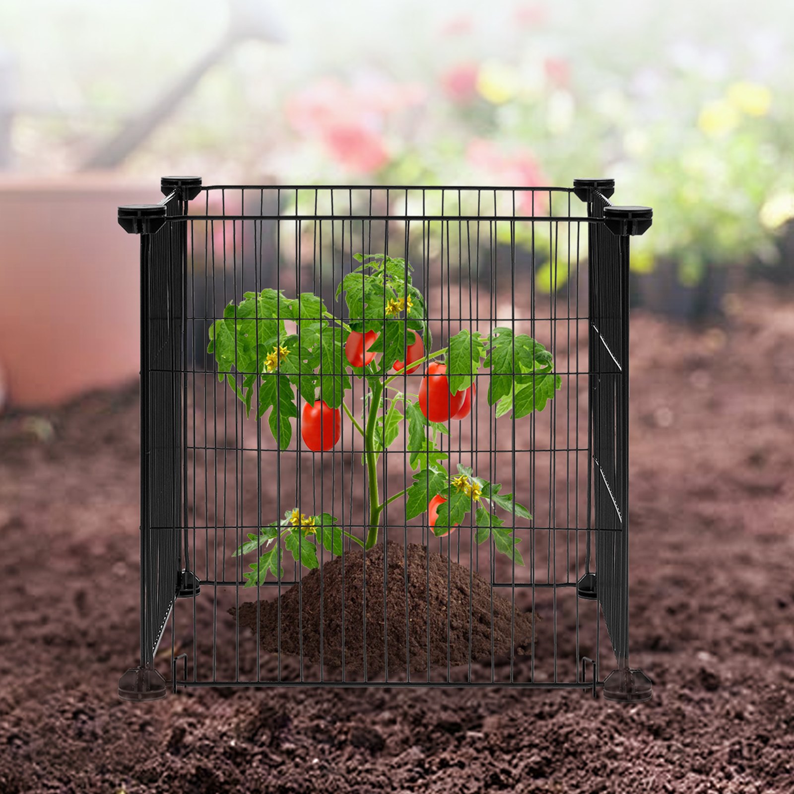 5 Pack Plant Protector from Animals, 390 mm x 390 mm Chicken Wire Plant Protector, Plant Cages for Outdoor Plants, Flowers & Vegetables, Keeps Bunny Chicken Squirrels Out, 20pcs Metal Mesh - Image 8