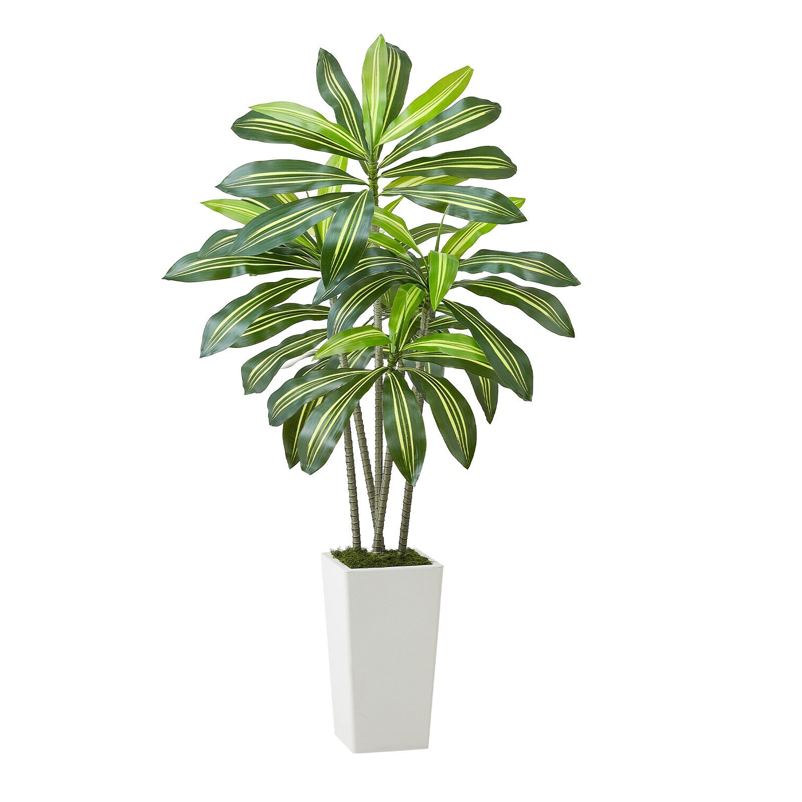 Artificial Dracaena Tree 1524 mm, Fake Palm Tropical Plants with White Tall Planter, Faux Floor Silk Plant in Pot, Large Trees for Home Office Living Room Decor House Warming, Indoor Outdoor - Image 1