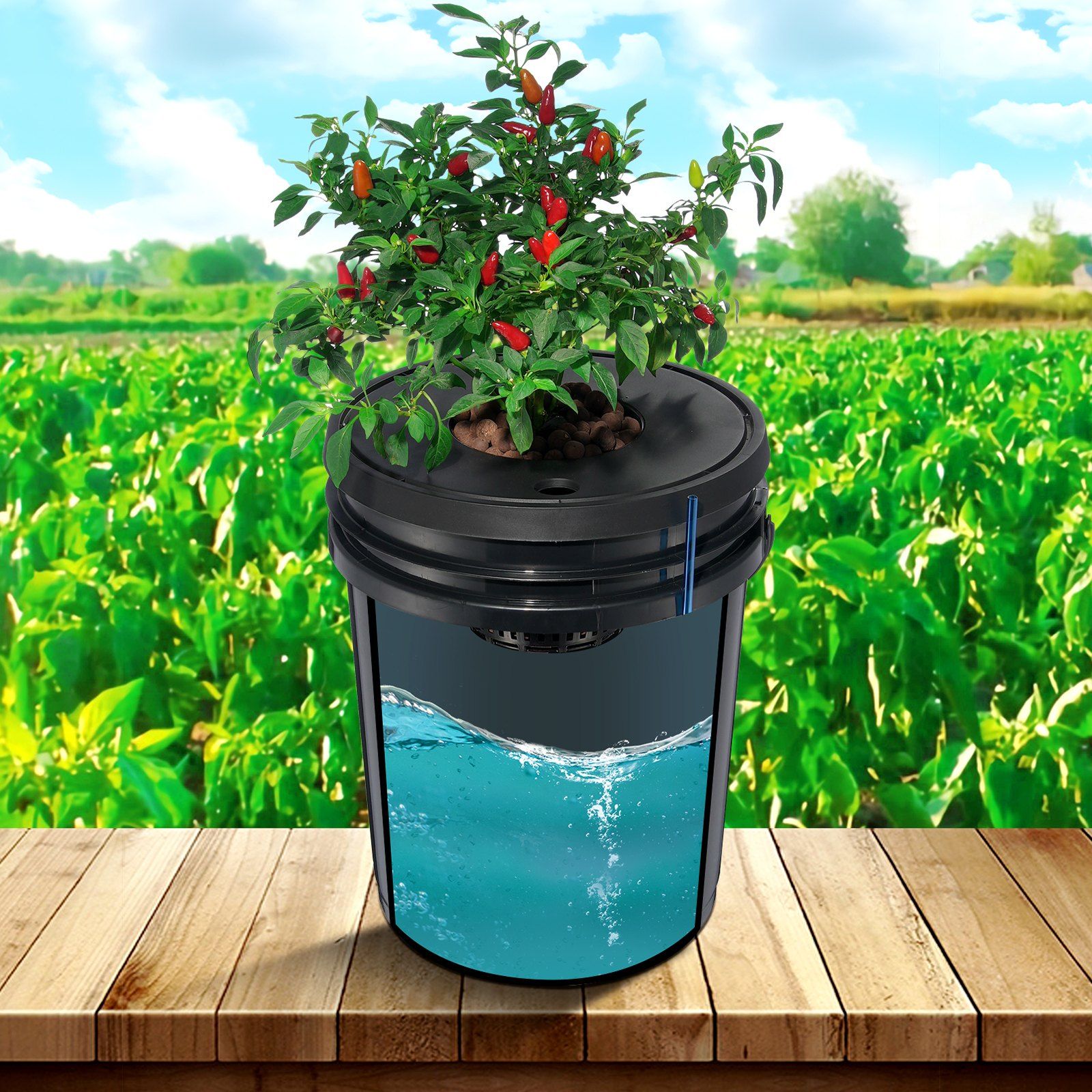 DWC Hydroponics Grow System, Hydroponic Growing System, Deep Water Culture 5-Gallon 4 Buckets, DWC System with Air Pump, Air Stones and Water Level Device for Leafy Vegetables - Image 8