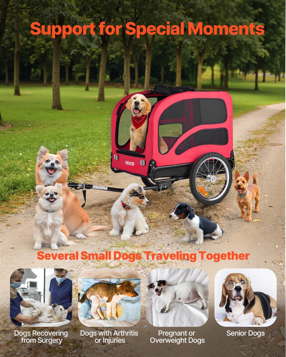 Dog Bike Trailer, Supports up to 45 kg, Pet Cart Bicycle Carrier for Small & Large Dogs, Easy Folding Frame with Quick Release Wheel, Universal Bicycle Coupler, Reflector, Flag, Internal Leash - Image 7