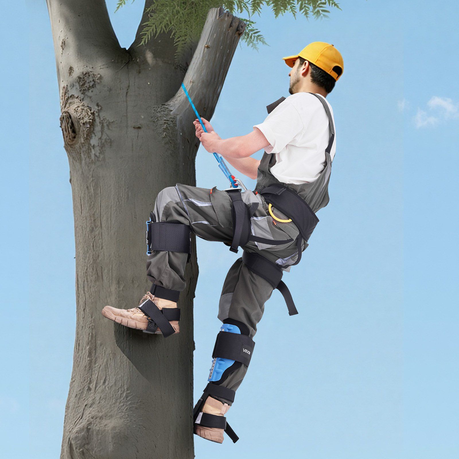 Tree Climbing Spikes, Height-Adjustable Tree Climbing Gear with Straps & Padding Cushion, 159 kg Load Capacity, Heavy Duty Steel Climb Spurs Arborist Equipment for Fruit Picking Hunting - Image 8