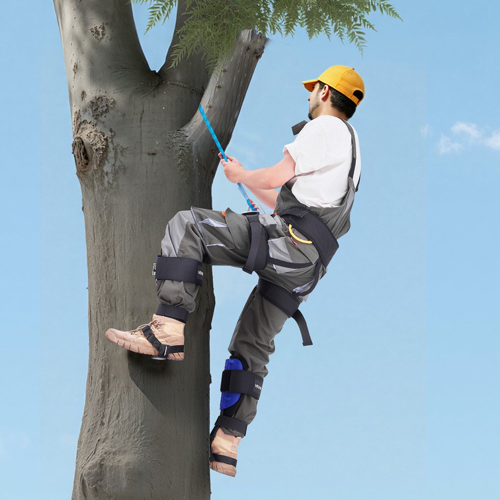 Tree Climbing Spikes Set, Height-Adjustable Tree Climbing Gear with Straps & Harness, 159 kg Load Capacity, Heavy Duty Steel Climb Spurs Arborist Equipment for Fruit Picking Hunting - Image 8