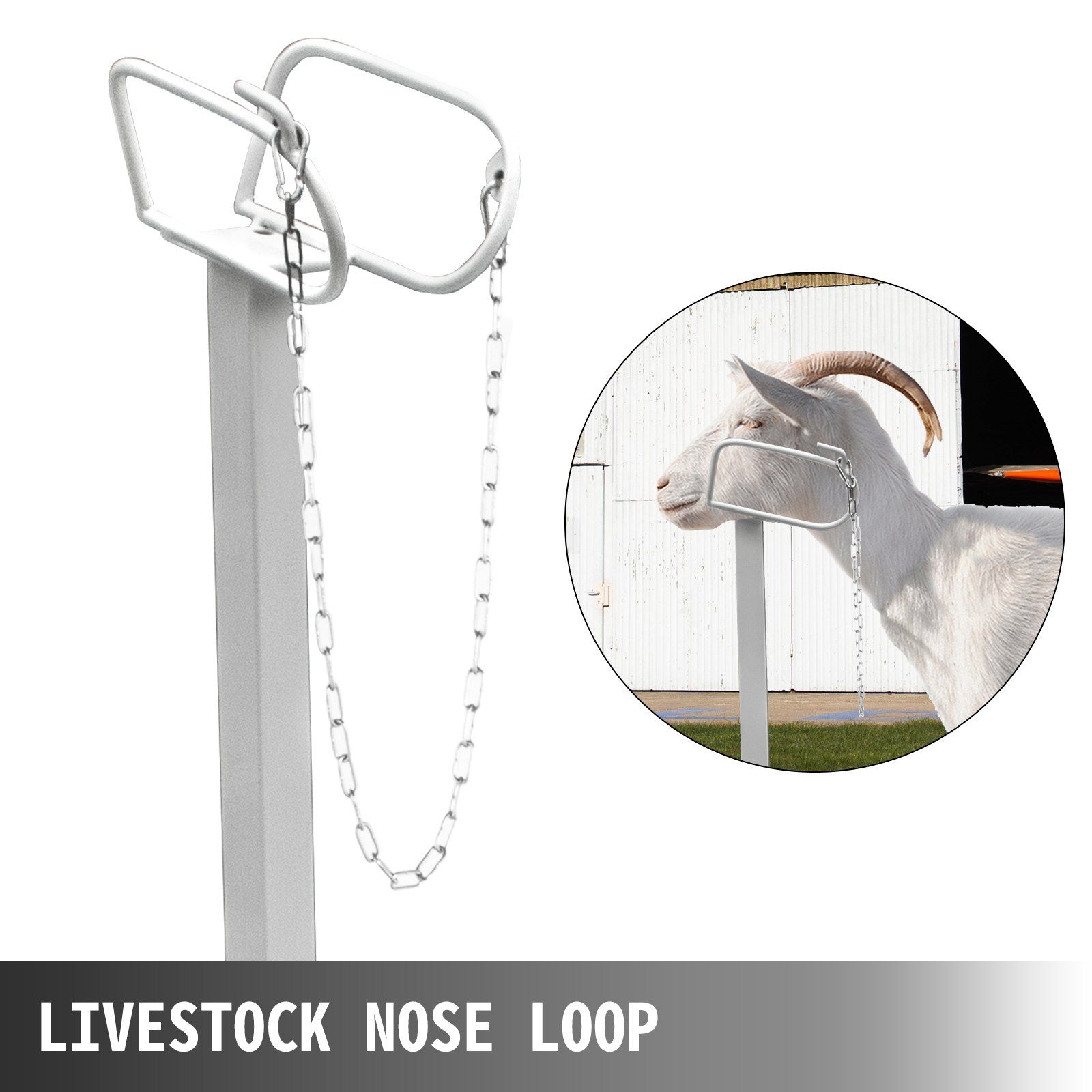 Livestock Stand 51x23 inches, Trimming Stand with Straight Head Piece, Goat Trimming Stand Metal Frame Sheep Shearing Stand Livestock Trimming Stands - Image 4