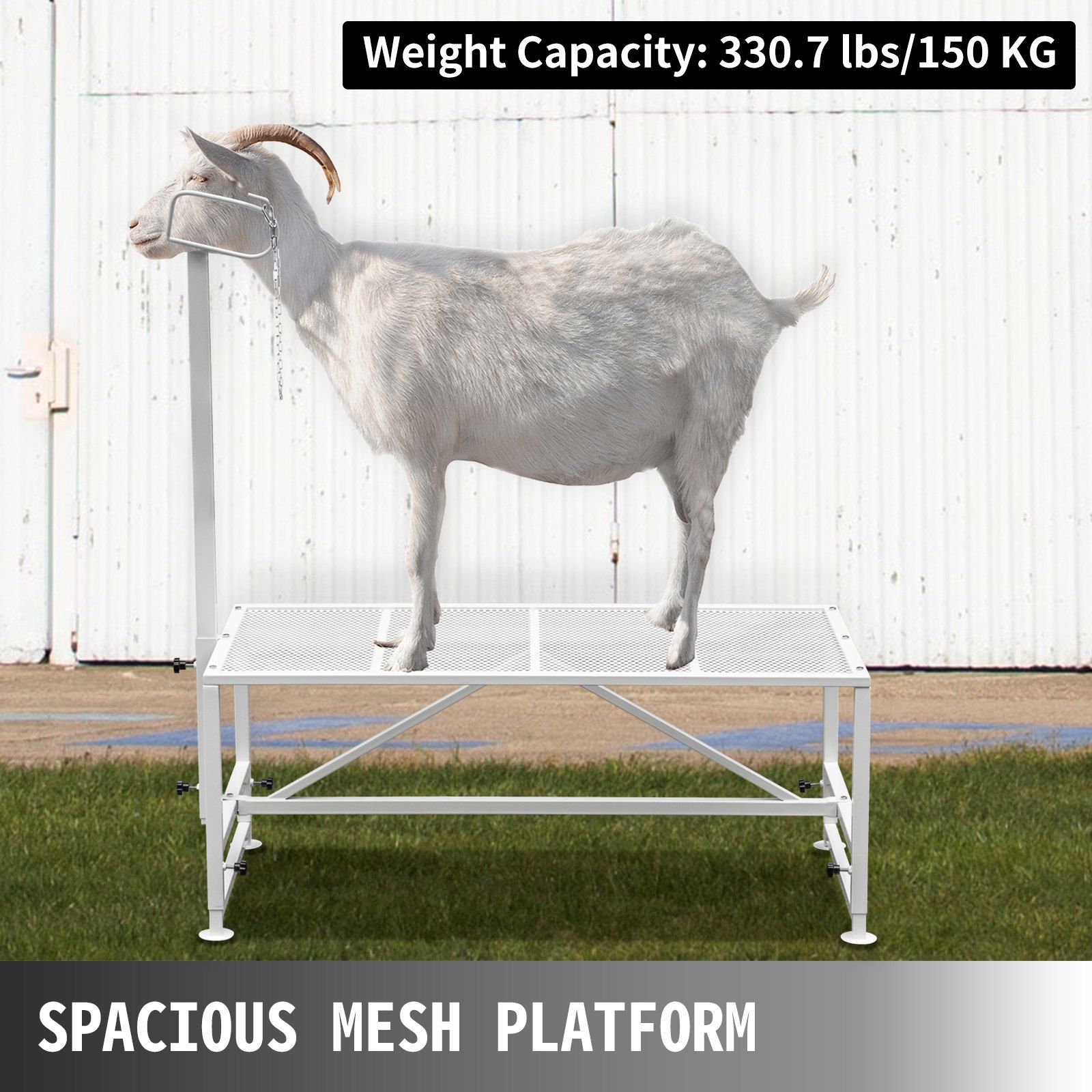 Livestock Stand 51x23 inches, Trimming Stand with Straight Head Piece, Goat Trimming Stand Metal Frame Sheep Shearing Stand Livestock Trimming Stands - Image 5