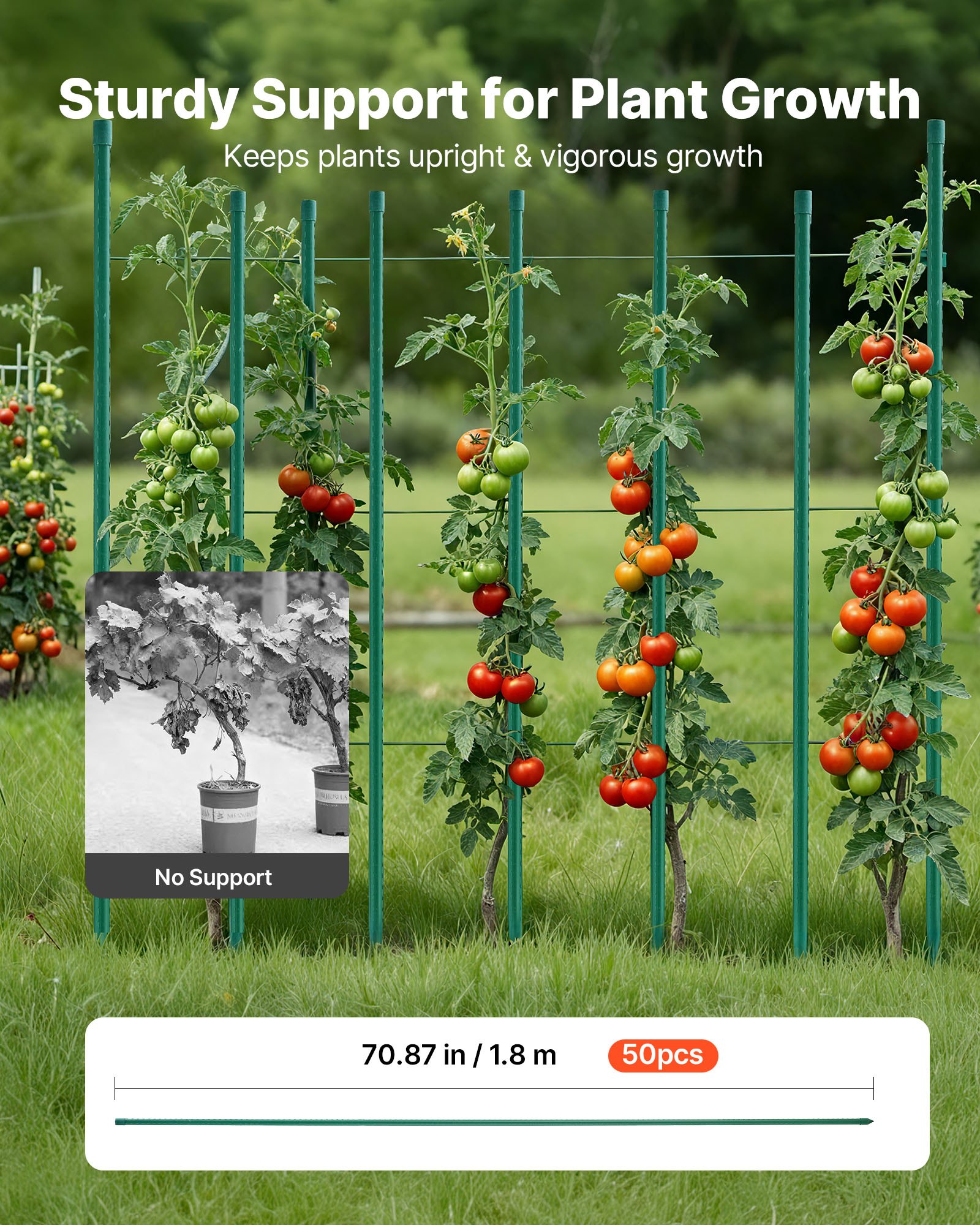 Garden Stakes, 50 Pack, 1800 mm, Plastic Coated Metal Tomato Stakes, Garden Sticks for Plants Support, with Pointed End and Non-Slip Bumps for Growing Climbing Plants, Outdoor Vegetables - Image 2