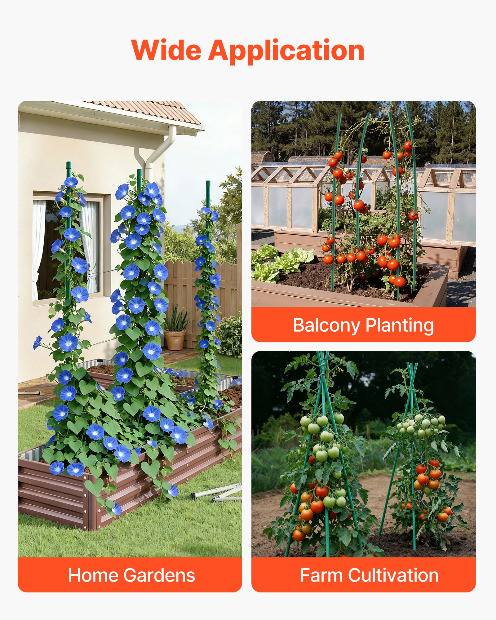 Garden Stakes, 50 Pack, 1800 mm, Plastic Coated Metal Tomato Stakes, Garden Sticks for Plants Support, with Pointed End and Non-Slip Bumps for Growing Climbing Plants, Outdoor Vegetables - Image 6